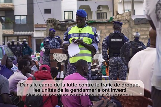 83 kg de drogue saisis, la gendarmerie arrête 7 dealers