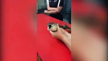 #VIRAL - Serpiente es capaz de tragar una pelota de tenis