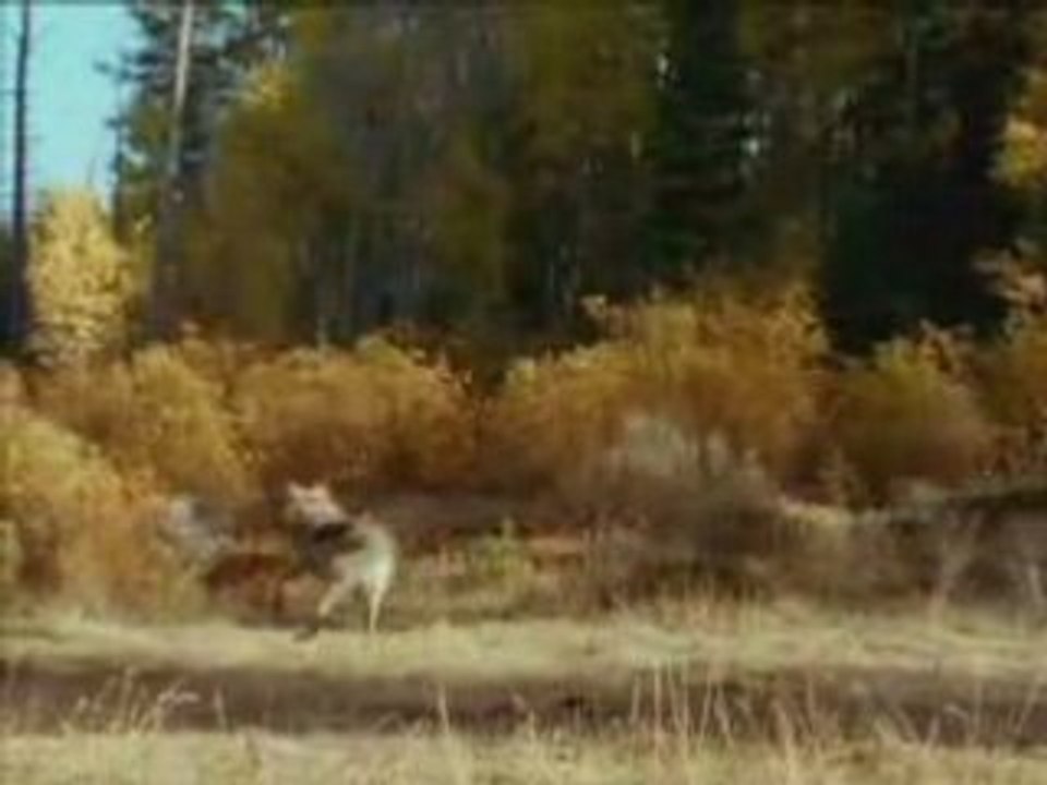 sacred spirit - Native American chant - Enigma