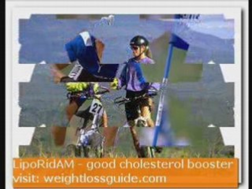 WeightLossGuide.com: LipoRidAM - good cholesterol booster