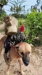 Well Best SokYaa,OG, Pao & Mom Are Famous Around The World