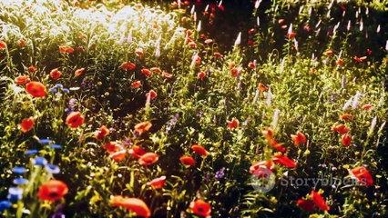 invideo-ai-1080 Le Docteur au Grand Cœur et au Petit Cha 2024-09-10