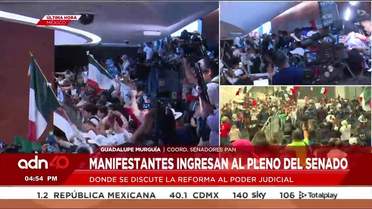 Manifestantes en contra de la reforma Judicial ingresan a las instalaciones del Senado