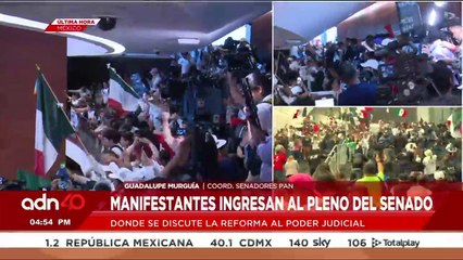 Manifestantes en contra de la reforma Judicial ingresan a las instalaciones del Senado