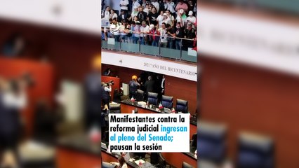 Manifestantes contra la reforma judicial ingresan al pleno del Senado; pausan la sesión