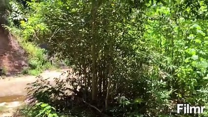 The stones that speak | movie | 2019 | Official Trailer