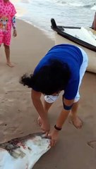 Pescador é mordido por tubarão em praia no litoral baiano