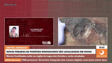 Historiador encontra pegadas de dinossauro inéditas em fazenda na zona rural de Sousa
