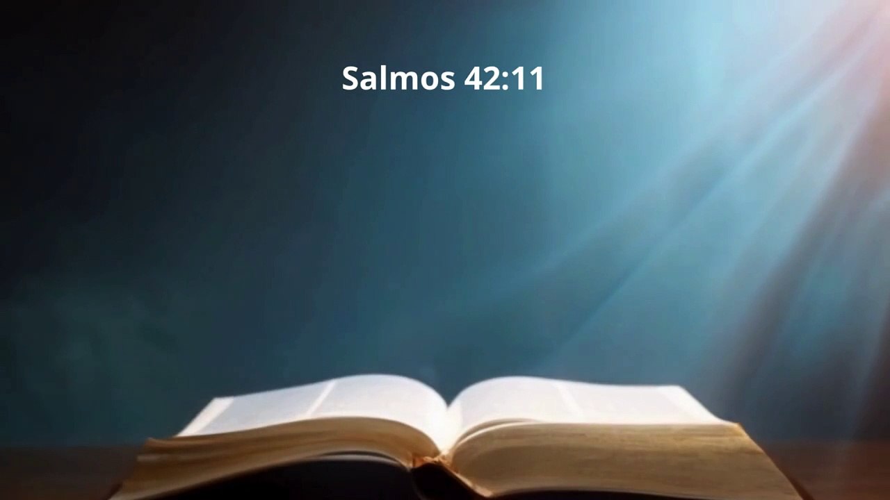 proverbio 1 (15)