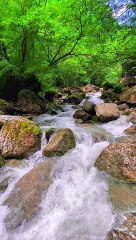 (Nature) sureview || sureview.tv