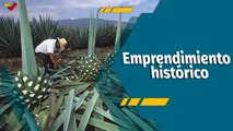 A Todo Motor por Venezuela | Finca “La Estancia” un recorrido lleno de tradición, trabajo e historia