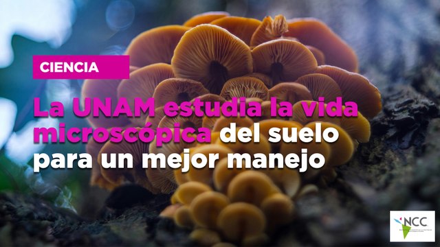 Científicos avanzan en revivir especies extintas con técnicas innovadoras| 688 |9-15 septiembre 2024