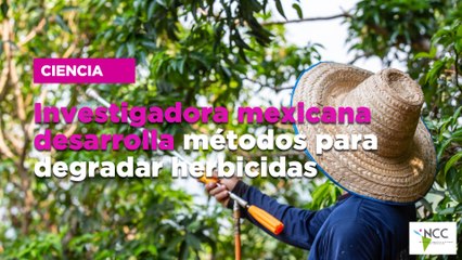 Investigadora mexicana desarrolla métodos para degradar herbicidas
