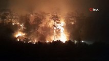 Muğla'da büyük orman yangını: Alevler geceyi gündüze çevirdi