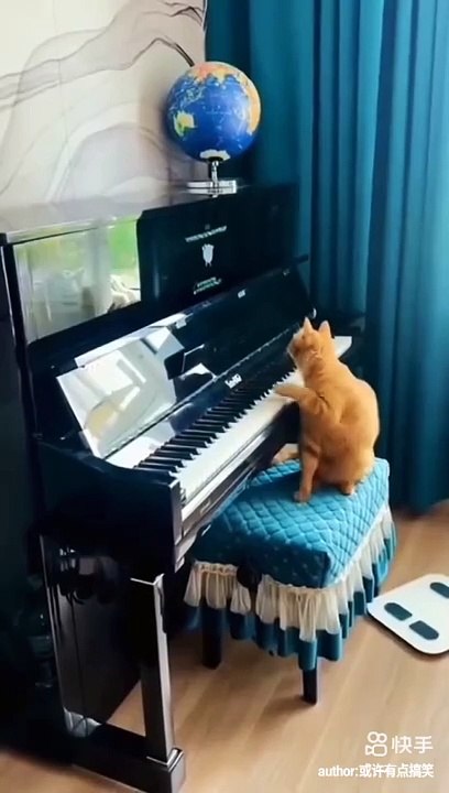 Cute animals cats and dogs #cat #dogs #pets