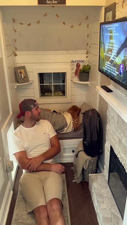 My dog shaved off my eyebrows! #dog #goldenretriever