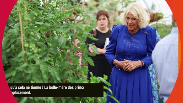 Camilla Parker Bowles malmenée par de fortes rafales de vent, sa sortie décoiffante fait le buzz