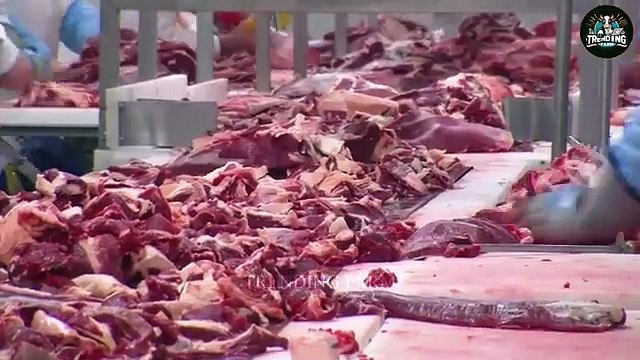 How Do American Farmers Make $3 Billion From Processing Millions Of Horses - Far