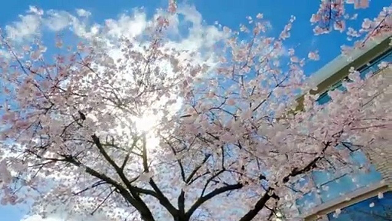 Canada in 8K ULTRA HD - Paradise of North America