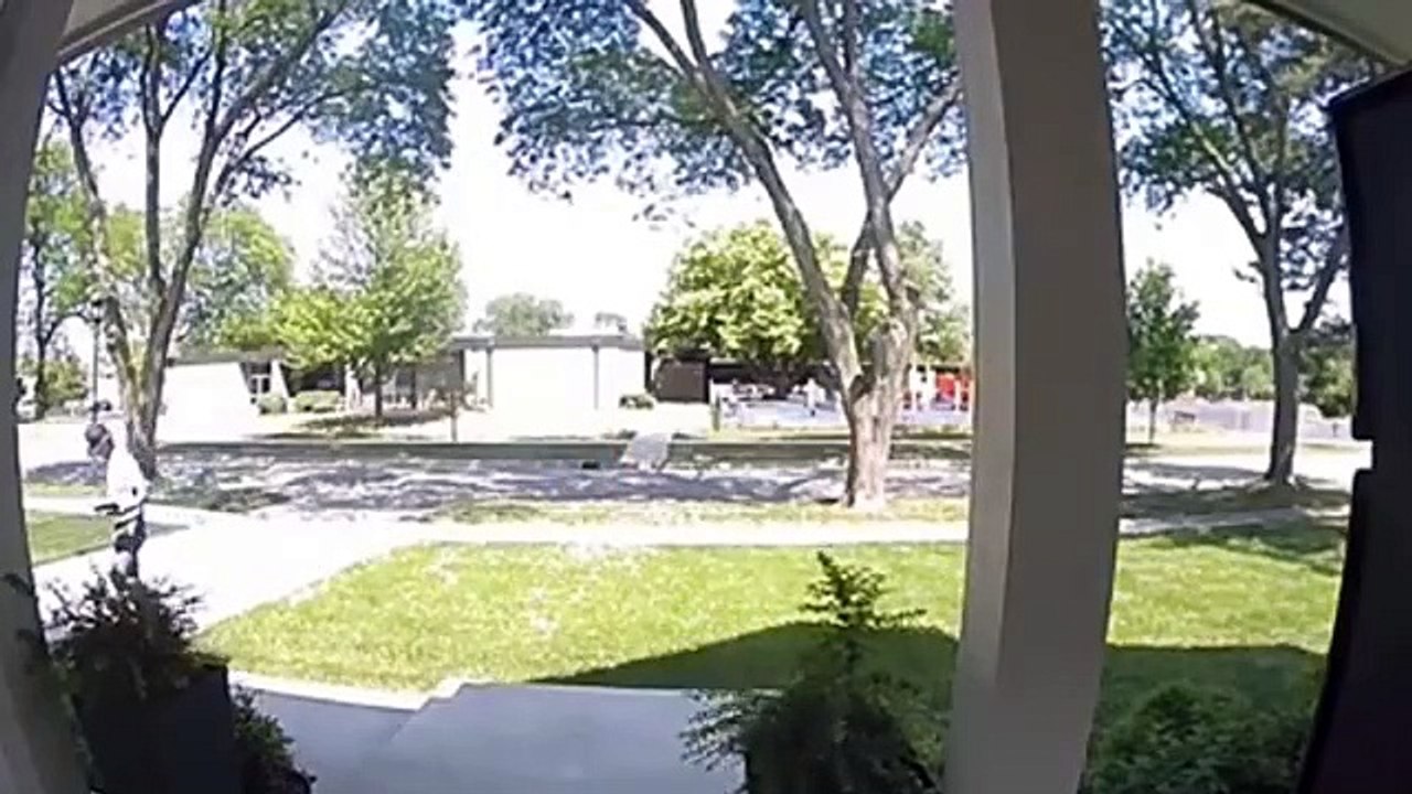 The Funniest Video in the world 1 hour #funny #video
