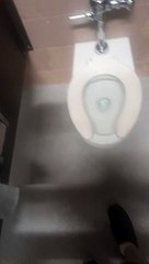 Eljer Signature at The Synthia Woods Mitchell Pavillion in The Woodlands, TX