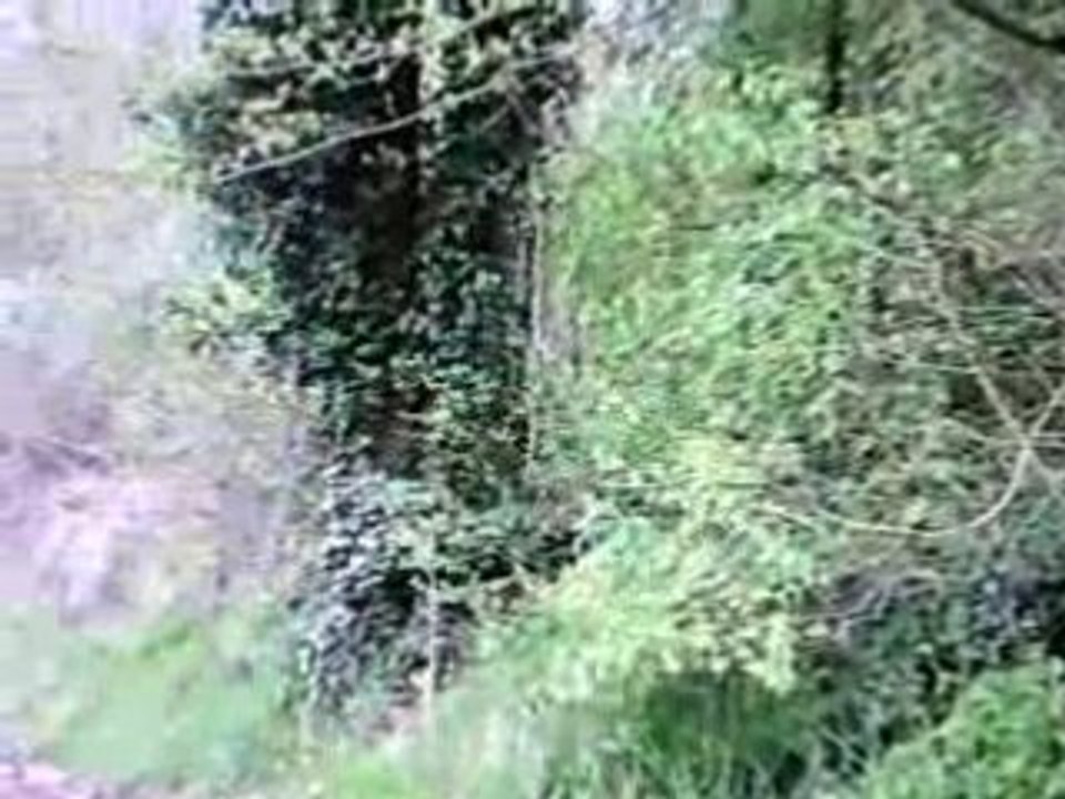 Descente en pierre de Serbonne 77