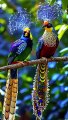 BEAUTIFUL COLORFUL PEACOCK,,,