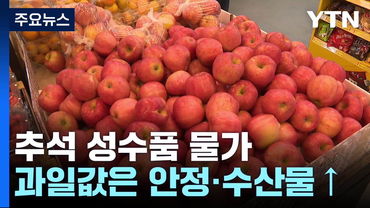 '추석 성수품' 과일류는 내렸지만 폭염에 채소·수산물 가격 상승 / YTN