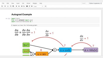 Automatic Differentiation in PyTorch: A Beginner's Guide