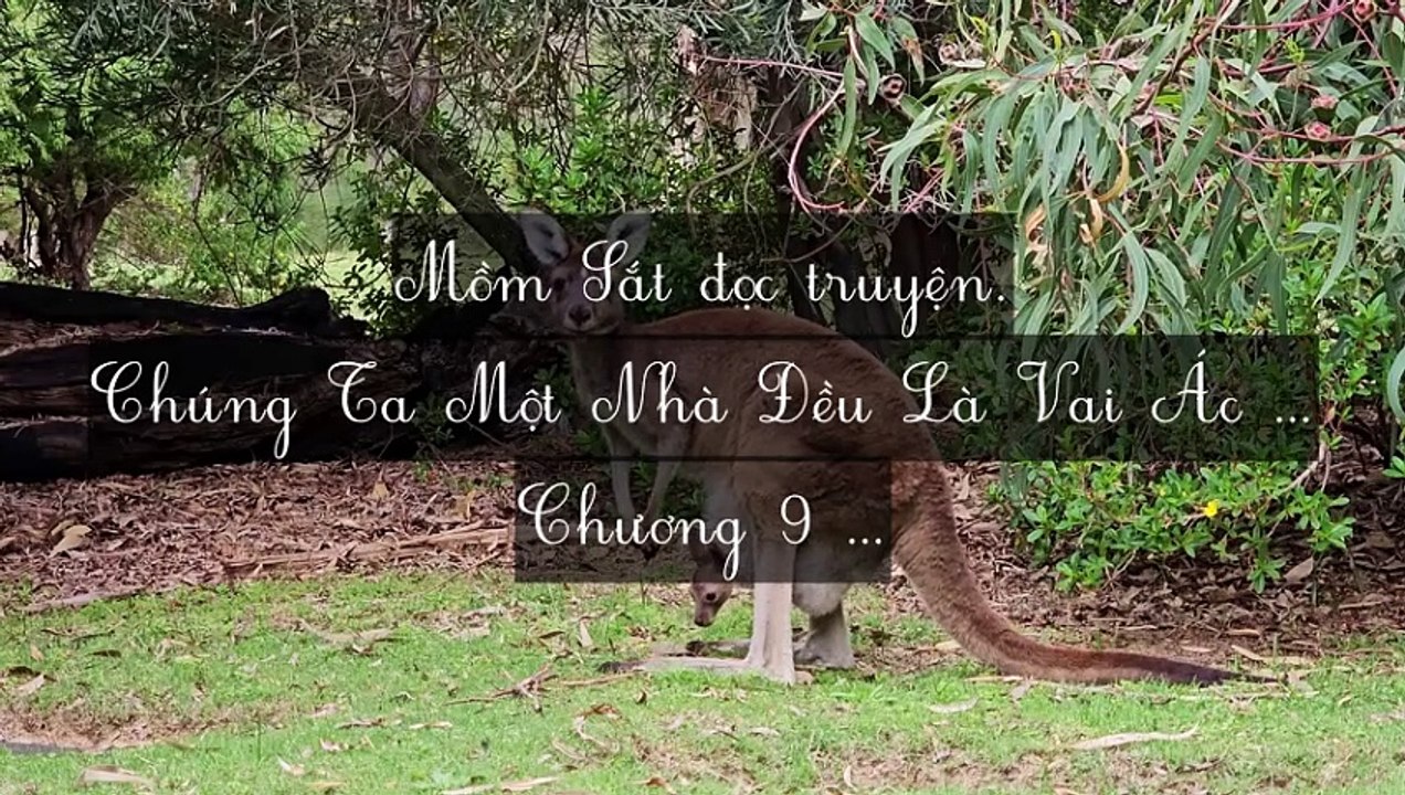 C9-C17 Chúng Ta Một Nhà Đều Là Vai Ác