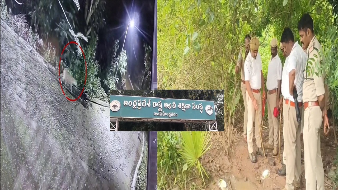 చిరుత సంచారంతో   భయాందోళన