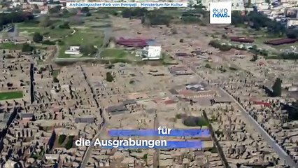 Lästige Tauben: Raubvögel bewachen Pompeji