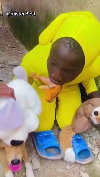 #comedyvideo #funnyvideo #funny #funnyvideos #laugh #funy