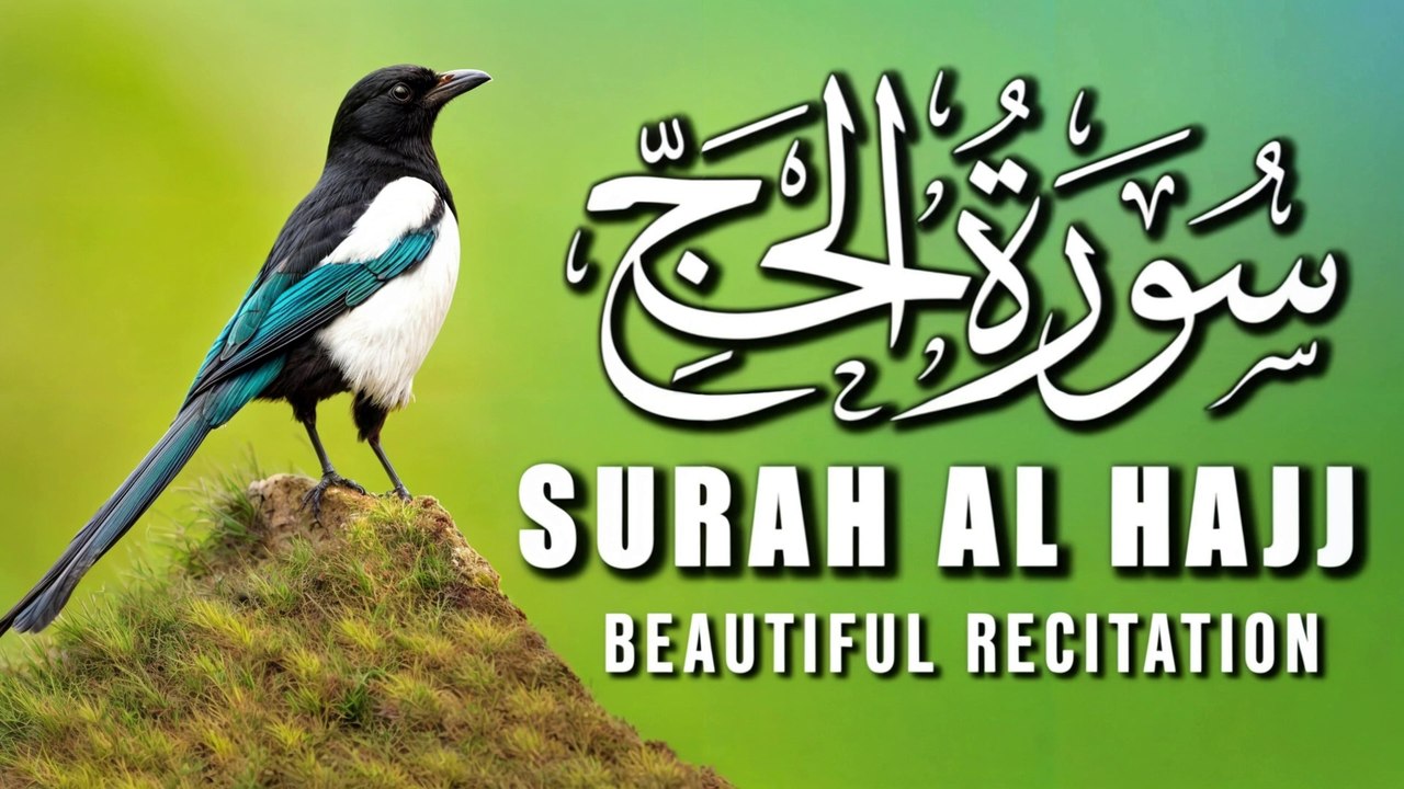 Surah Al-Hajj | سورة الحج | Full Heart touching recitation | Calming Quran |Quran