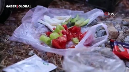 Muğla'da Orman Ekiplerinin Zorlu Mücadelesiyle Yangın Kontrol Altına Alındı 🌲