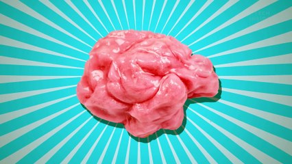 Here s what Happens in your body