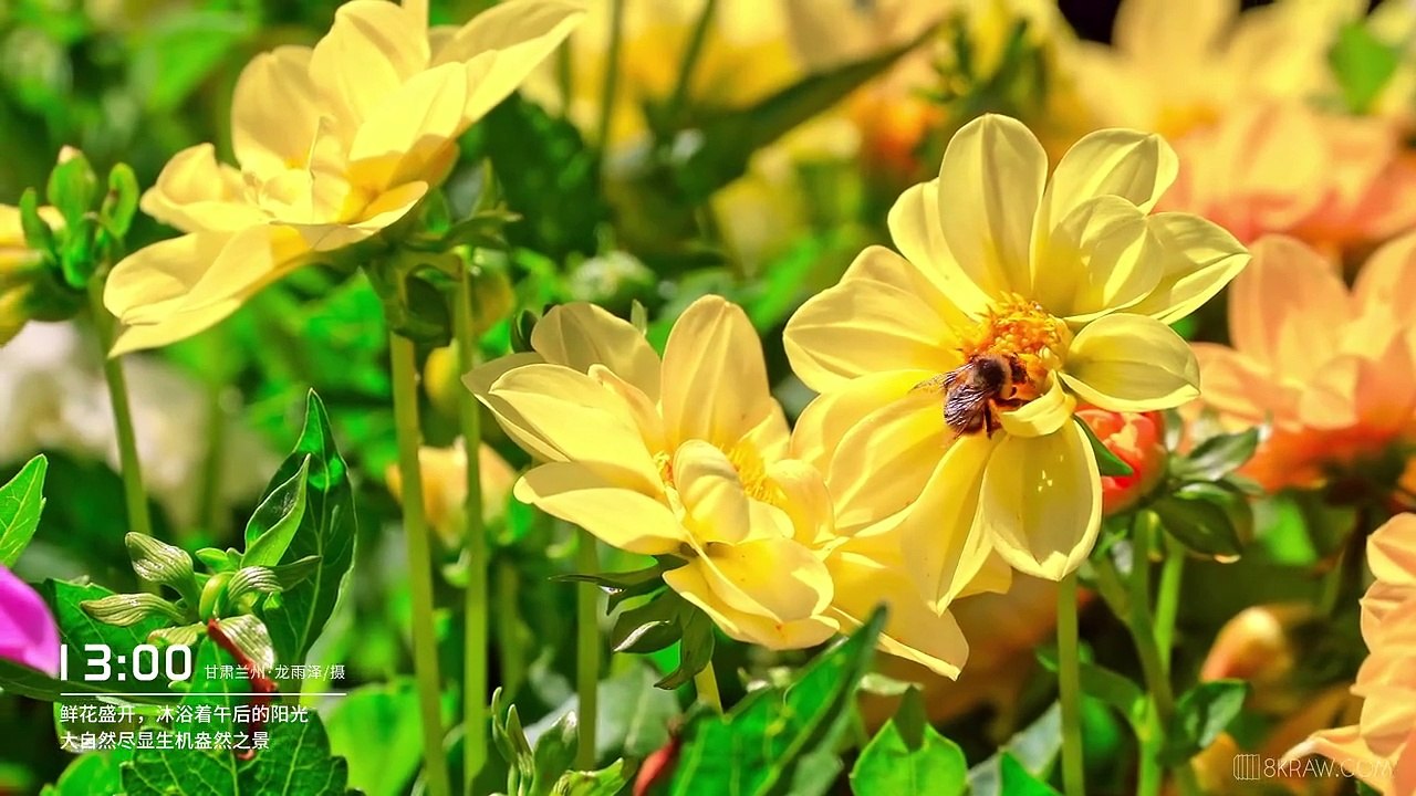 Beautiful  Natural Places  خوبصورت قدرتی مقامات