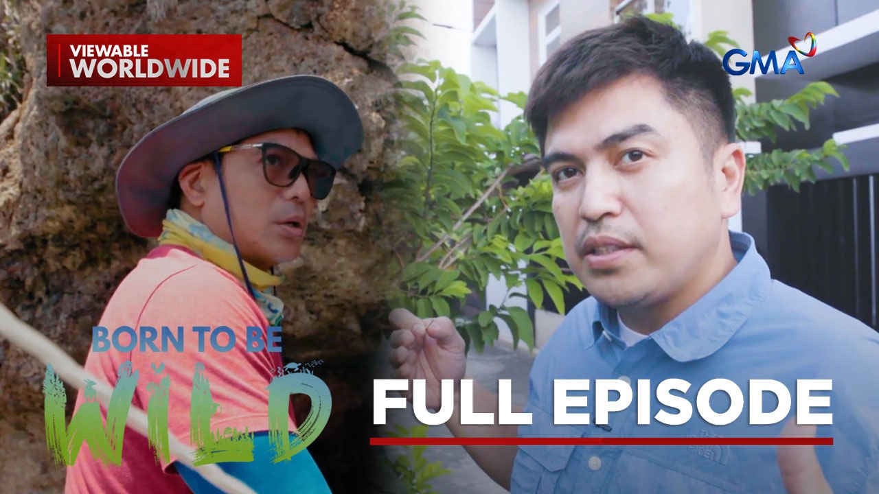 The role of humans in the life cycles of different organisms  (Full Episode) | Born to be Wild