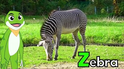  ABC Flashcards for Toddlers + Learn Colors & Shapes | Fun Kids Educational Video 