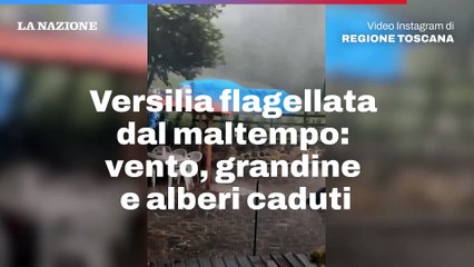 Download Video: Versilia flagellata dal maltempo: vento, grandine e alberi caduti