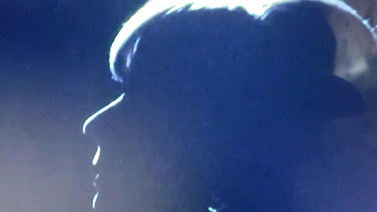 Annie Cordy : 4 pétales