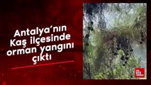 Antalya'nın Kaş ilçesinde orman yangını çıktı