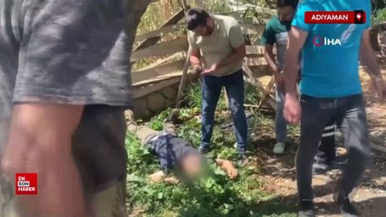 Adıyaman'da bahçede kanlı infaz