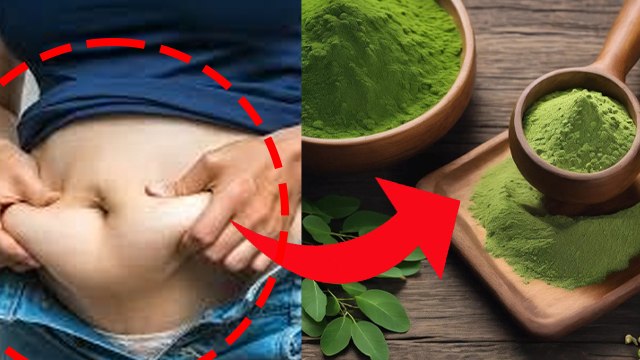 Moringa Powder Benefits For Weight Loss in Hindi| Sahjan Khane Ke Fayde...|Boldsky