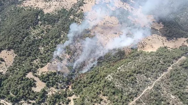 Antalya’nın Kaş ilçesinde orman yangını