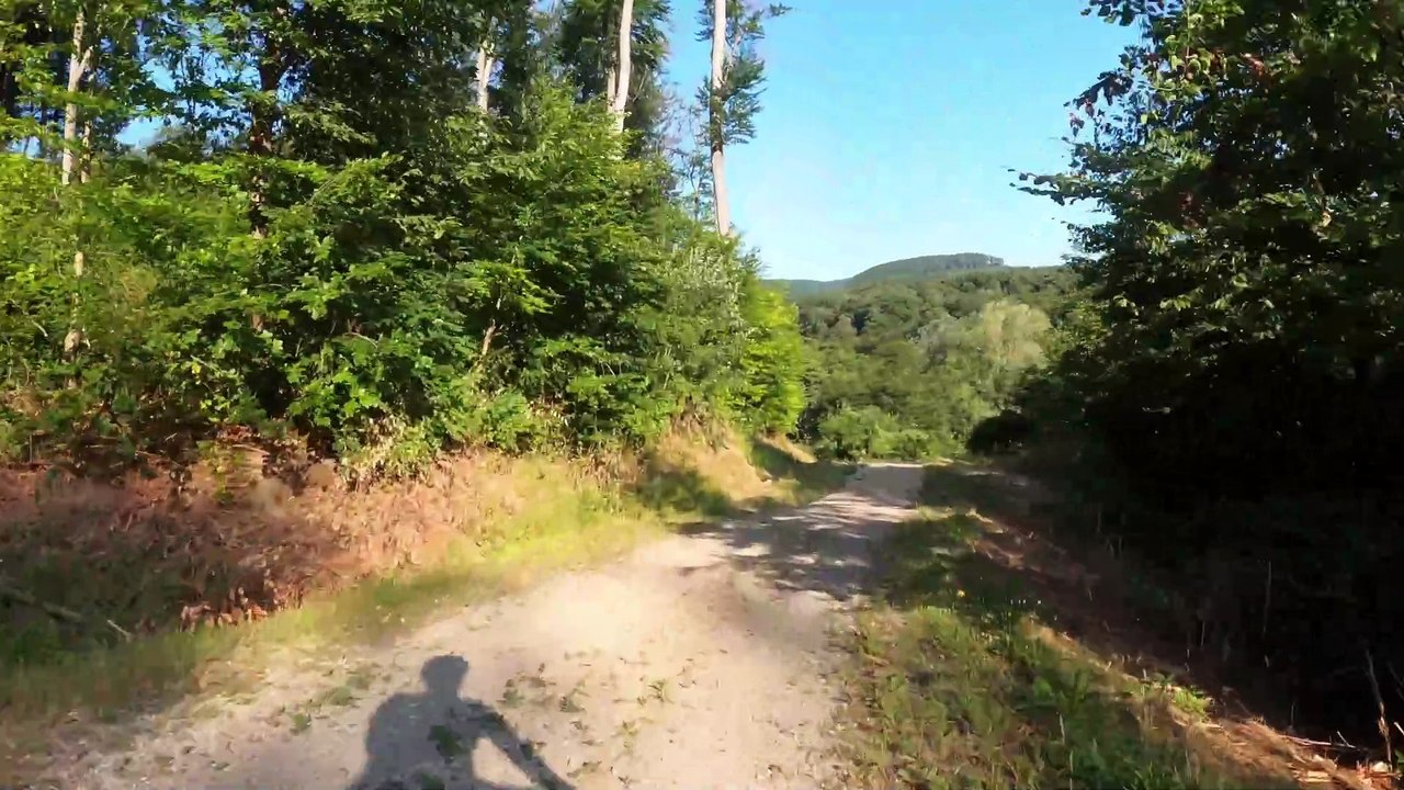 MTB Wienerwald: Die letzten Meter zum Hanslteich