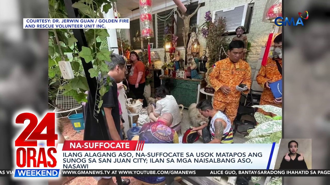 Ilang alagang aso, na-suffocate sa usok matapos ang sunog sa San Juan City; ilan sa mga naisalbang aso, nasawi | 24 Oras Weekend