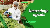 Cultivando Patria | IVIC a la vanguardia del fortalecimiento agrícola