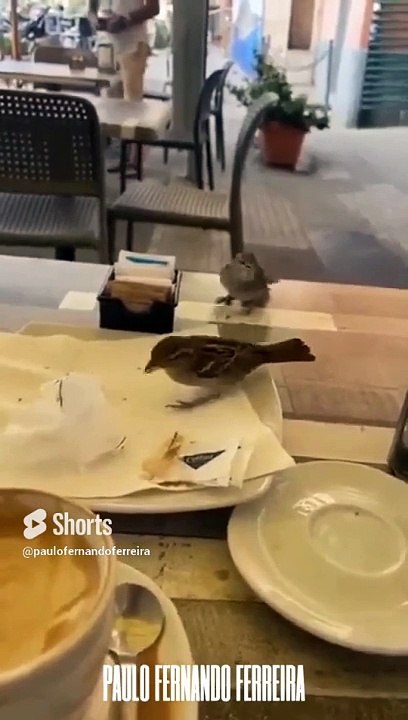 Feeds Baby