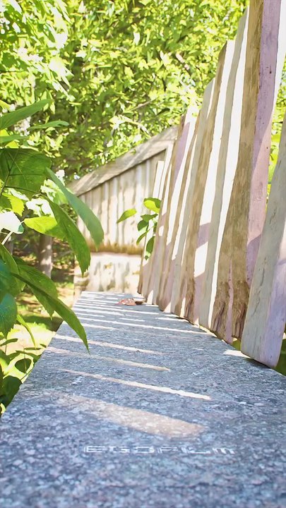 "You Are My Best Friend Forever We Love Them Have Small Animal Cuteness Follow For More Videos Have Trendingreels"....!!